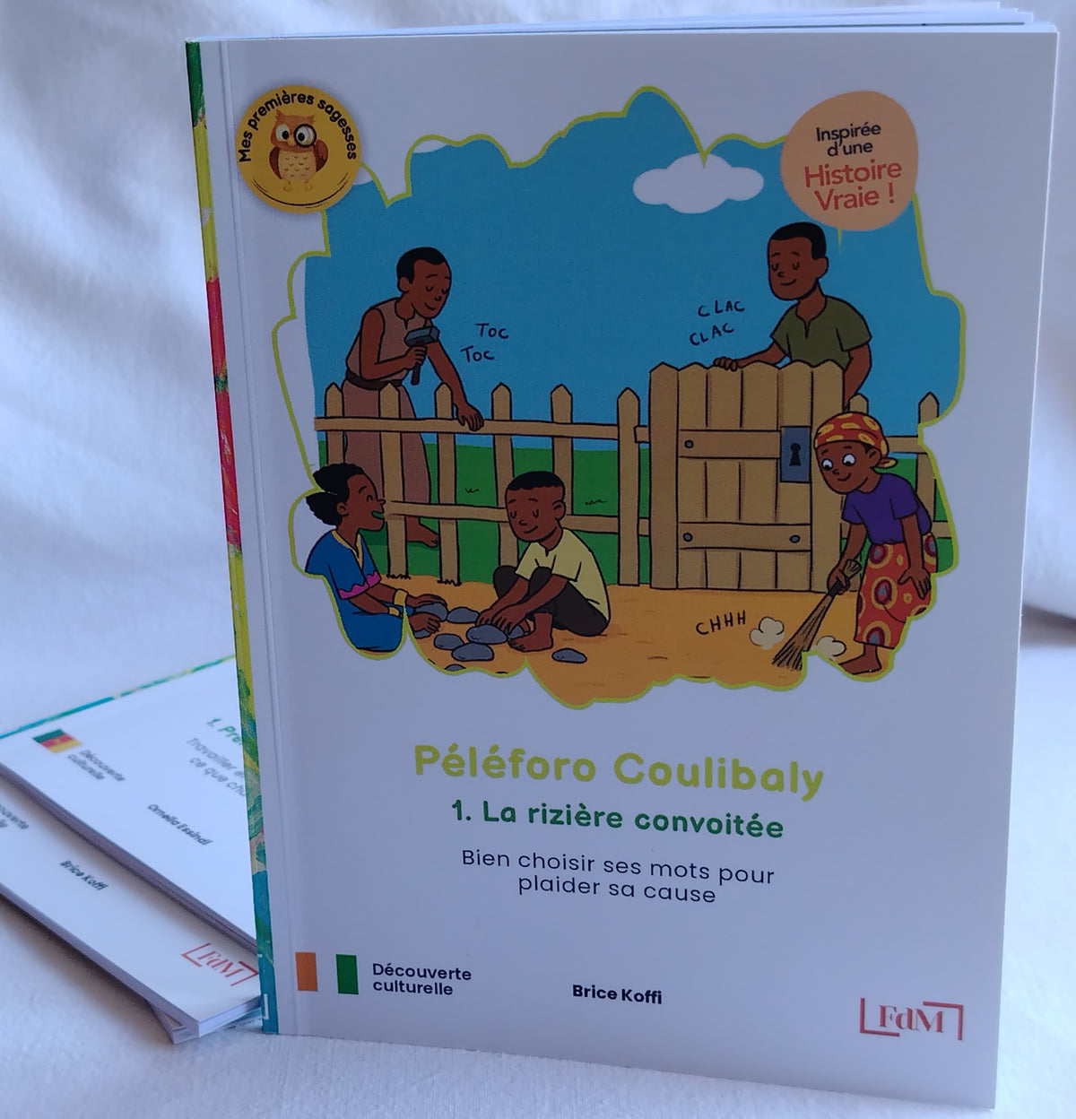 Péléforo Coulibaly, 1. La rizière convoitée